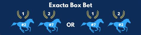 exacta box calculator|winning ponies calculator.